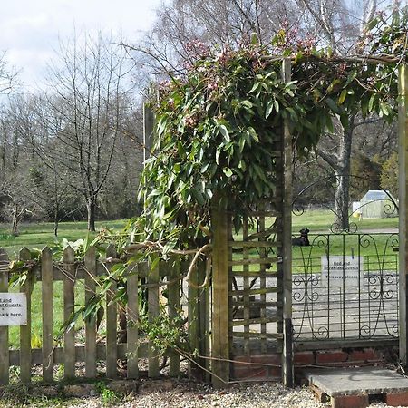 לינה וארוחת בוקר Wadhurst Little Tidebrook Farm מראה חיצוני תמונה