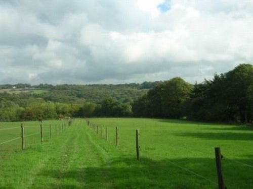 לינה וארוחת בוקר Wadhurst Little Tidebrook Farm מראה חיצוני תמונה