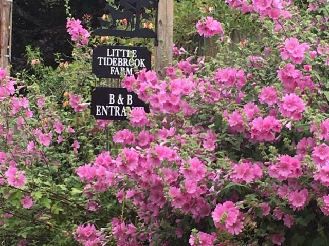 לינה וארוחת בוקר Wadhurst Little Tidebrook Farm מראה חיצוני תמונה